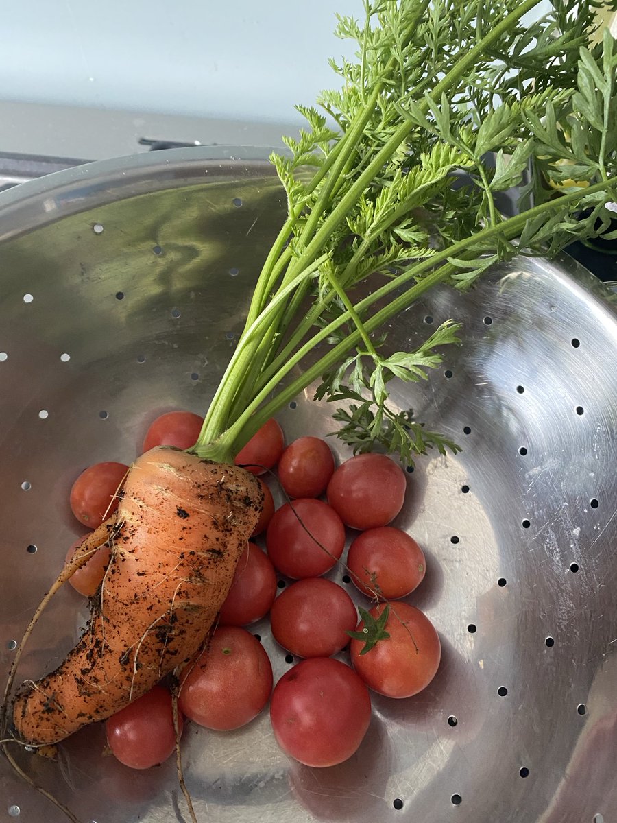 SJH Chaplain (@sjhchaplain) on Twitter photo What a great Eco Day in SJH! Thank you! Well done Team SJH <a href="/SJHCVA/">Saint John Houghton CVA</a> <a href="/SRSCMAT/">St Ralph Sherwin CMAT</a> <a href="/olatbvm/">Our Lady and the Beauvale Martyrs.</a> <a href="/NDCYS/">NDCYS - The Briars</a> What a great Eco Day in SJH! Thank you! Well done Team SJH <a href="/SJHCVA/">Saint John Houghton CVA</a> <a href="/SRSCMAT/">St Ralph Sherwin CMAT</a> <a href="/olatbvm/">Our Lady and the Beauvale Martyrs.</a> <a href="/NDCYS/">NDCYS - The Briars</a>