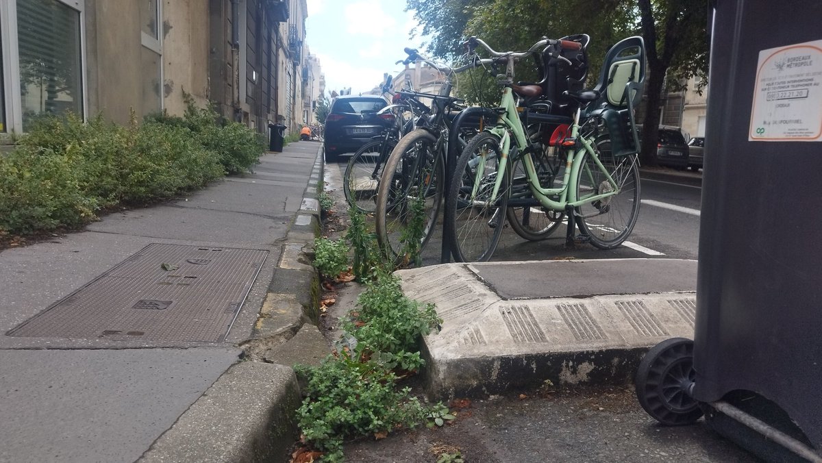 ACapraDiMonti's tweet image. Bonjour mon @Vino_Griego 🐻 ! Alors toi aussi tu kiffes les #Salades  agrémentées de #FinesHerbesHurmiciennes ? Oh... 🤩Et c'est #Locavore ! 🙃🌱

#Bordocrado📸
Sous les bancs 🌱, et jusqu'entre les dents ! 🤓🥗

Vivement #Bordeaux2026 !