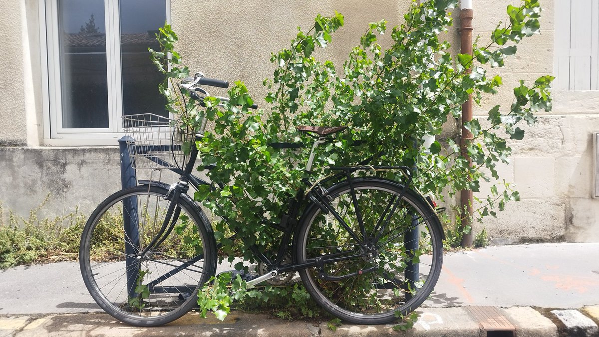 ACapraDiMonti's tweet image. Bonjour mon @Vino_Griego 🐻 ! Alors toi aussi tu kiffes les #Salades  agrémentées de #FinesHerbesHurmiciennes ? Oh... 🤩Et c'est #Locavore ! 🙃🌱

#Bordocrado📸
Sous les bancs 🌱, et jusqu'entre les dents ! 🤓🥗

Vivement #Bordeaux2026 !