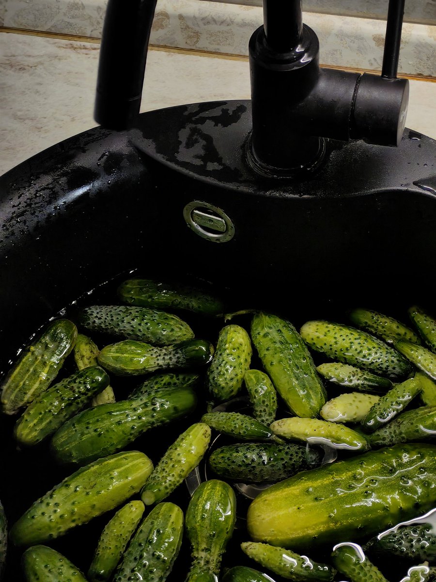 Искусство Быть Посторонним🇩🇪 tweet media