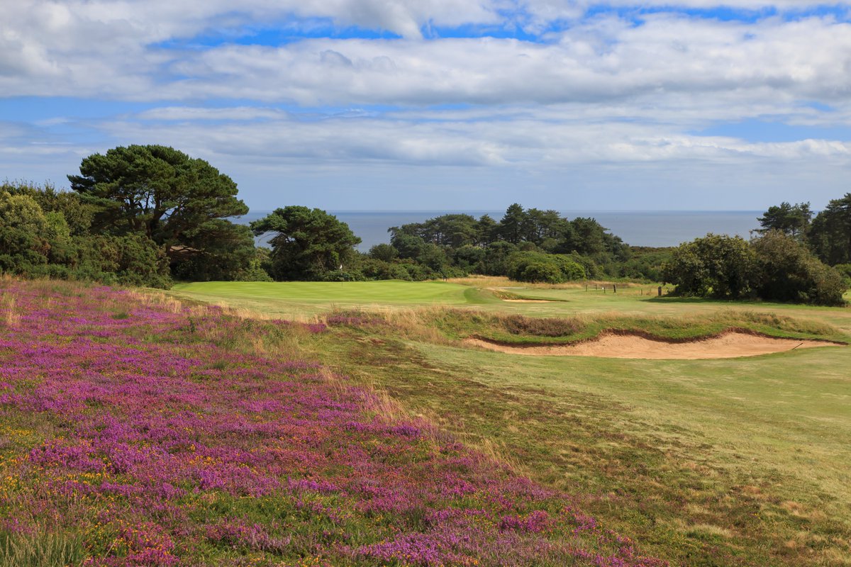 East Devon Golf Club (@eastdevon_gc) on Twitter photo ⛳A classic Harry Colt design, the 11th is a risk/reward hole⛳
A short dog-leg right with a large grassy gully to carry to reach the main part of the fairway. What would you do? Be sensible and lay up short of the cross bunkers or go for the green?
<a href="/swsportsnews/">South West Sports News</a> #lovegolf ⛳A classic Harry Colt design, the 11th is a risk/reward hole⛳
A short dog-leg right with a large grassy gully to carry to reach the main part of the fairway. What would you do? Be sensible and lay up short of the cross bunkers or go for the green?
<a href="/swsportsnews/">South West Sports News</a> #lovegolf