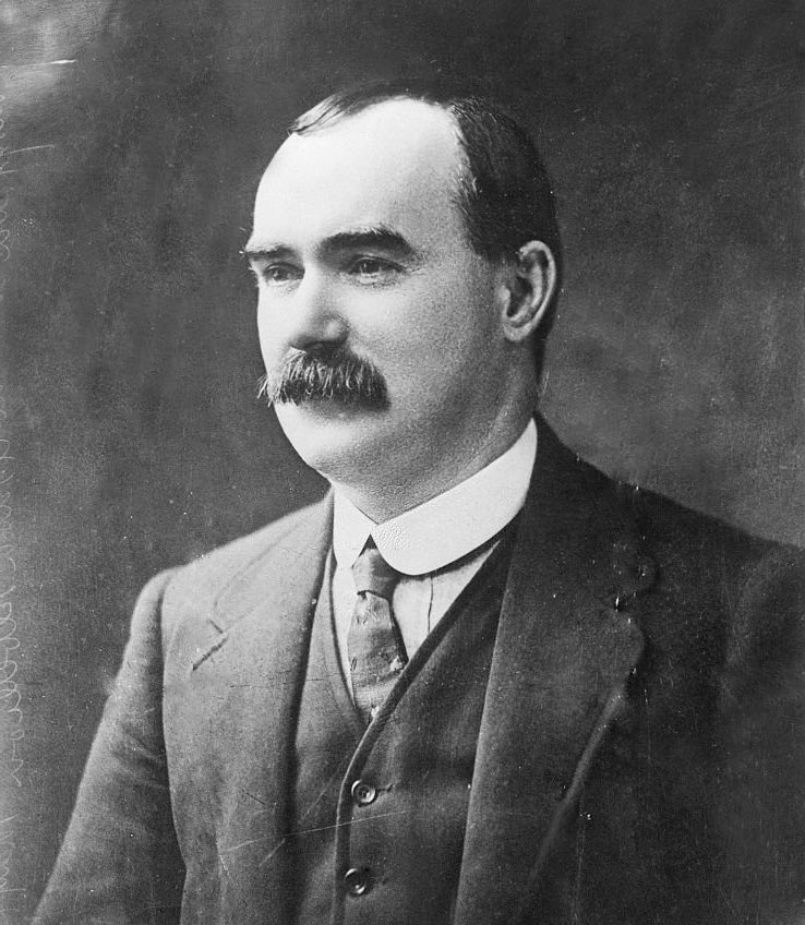 Gael An Choill 🇮🇪🌲 (@gaelanchoill) on Twitter photo 