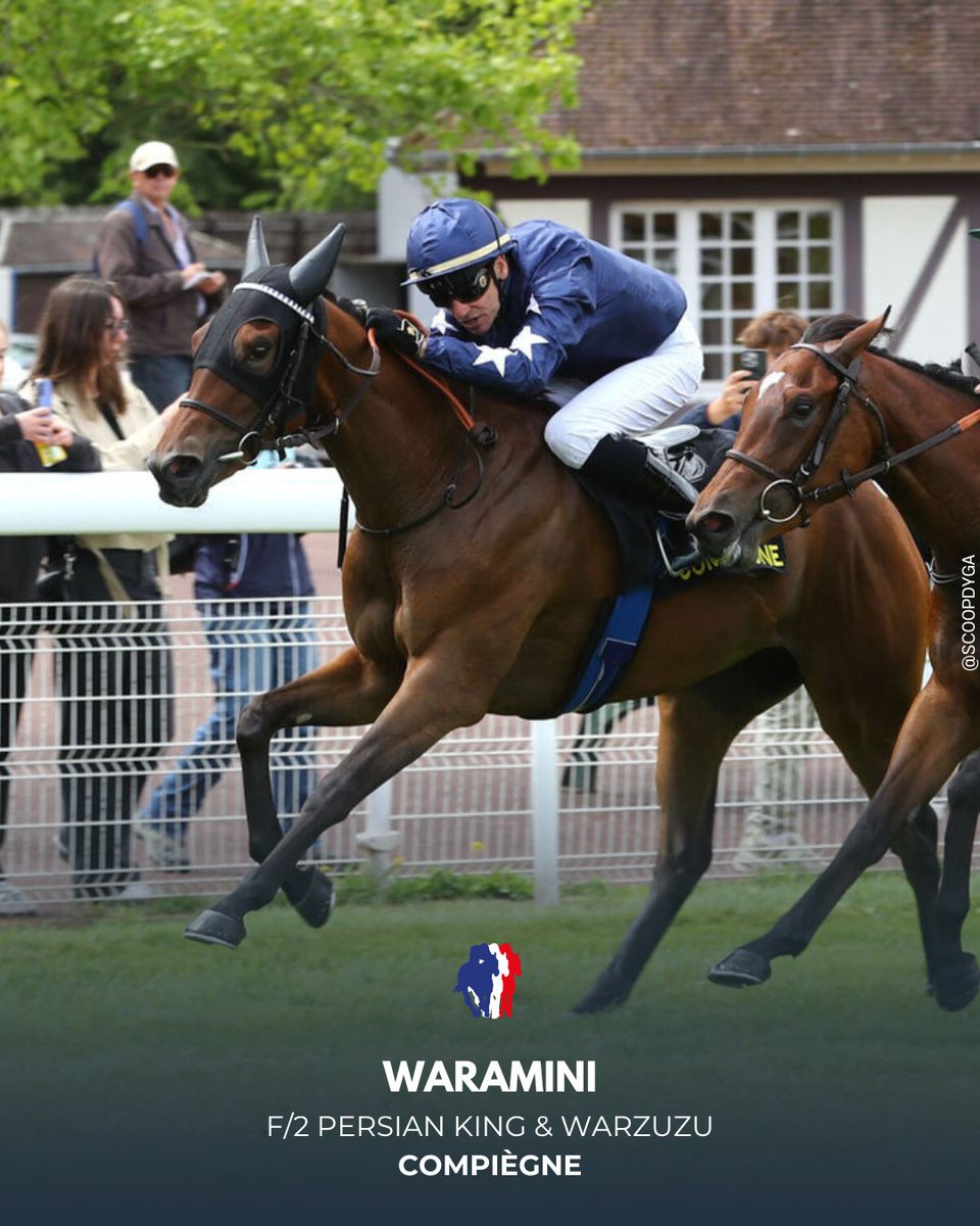 𝗣𝗥𝗜𝗫 𝗗𝗘𝗦 𝗡𝗔Ï𝗔𝗗𝗘𝗦 (𝗠𝗔𝗜𝗗𝗘𝗡), COMPIÈGNE
Waramini (F2 Persian King <a href="/Haras_d_Etreham/">Haras d'Etreham</a> ) ouvre son palmarès avec courage, reprenant Rock of Rosha après avoir été débordée. Elle pourrait viser le Critérium d’Été <a href="/InfoArqana/">ARQANA</a> à Deauville.
<a href="/CYLerner/">C&Y Lerner</a> <a href="/RonanThomass/">Яonan THOMAS</a>