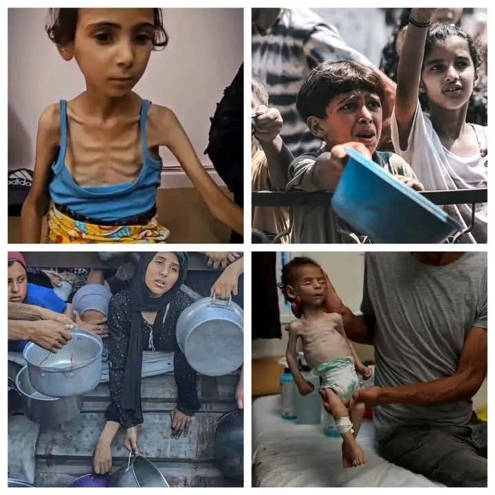 IsraMohm's tweet image. Gaza is dying of hunger 💔
Allah suffices us, and He is the best disposer of affairs 💔