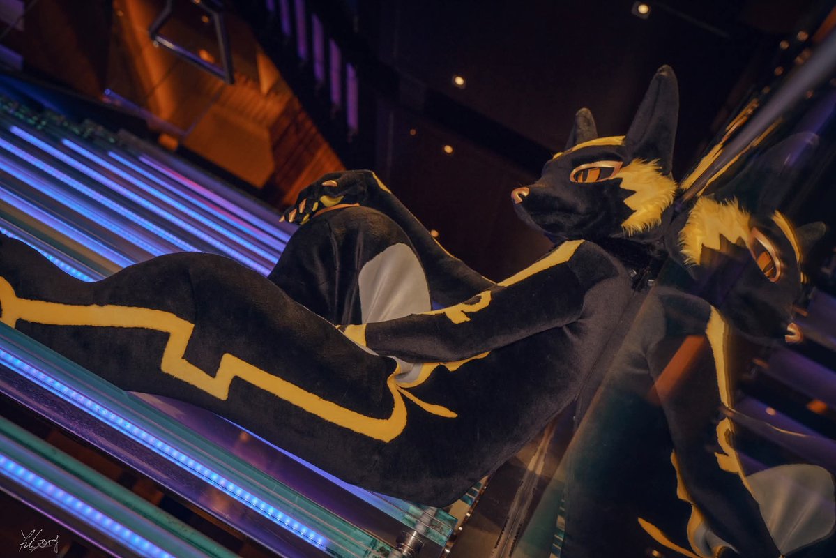 AnubisFurdance's tweet image. 結束了呢：3
我需要摸摸 🥺

📷： 魚松 
🧵:@KMN_NANO 
#UTFG2025 #阿努剃毛了 #FursuitEveryday