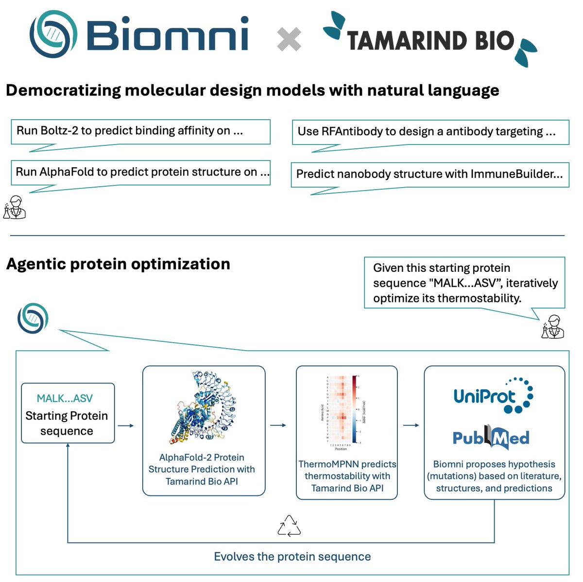 KexinHuang5's tweet image. 🤝Excited to partner with Tamarind @kavi_deniz to build towards an agentic AI protein designer.
🔁 Agentic protein optimization — Starting from a sequence, Biomni iteratively improves thermostability by orchestrating AlphaFold-2, ThermoMPNN, and reasoning over predictions and…