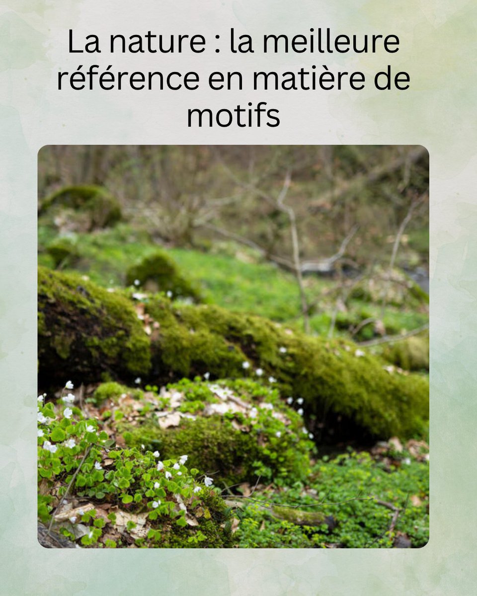 La nature regorge de motifs surprenants. 🌲
Célébrez-les à travers votre objectif et participez à notre concours photo pour gagner des prix à thématique Greenpeace!
#ConcoursPhotoGreenpeace #UneNatureRicheEnMotifs

act.gp/4lROELJ