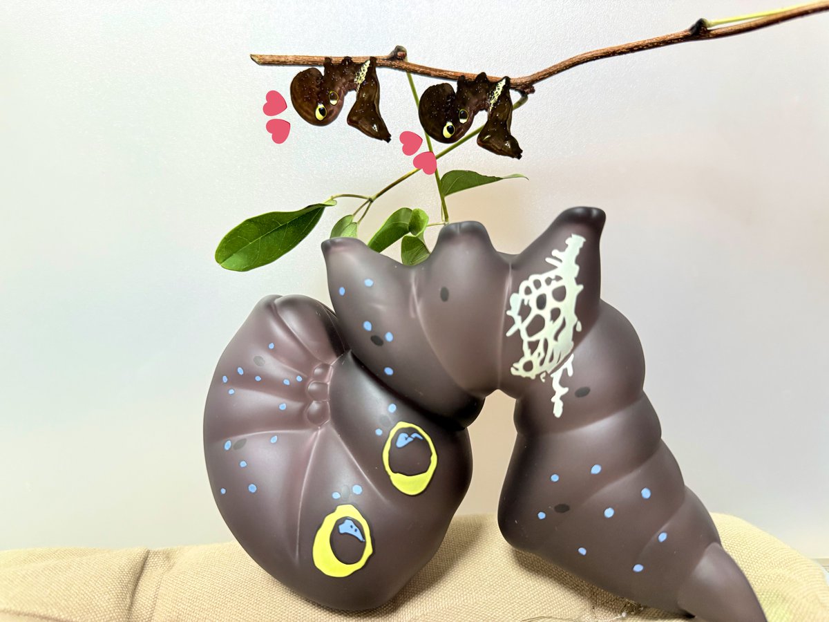 Himotokage's tweet image. そういえばと思って、アケビンに水を与えたよ💦買い始めてから一度も霧吹きしてなかったから、申し訳なかった≡(´_`)≡結果ものすごい勢いで飲み始めてた!気がついてよかったね