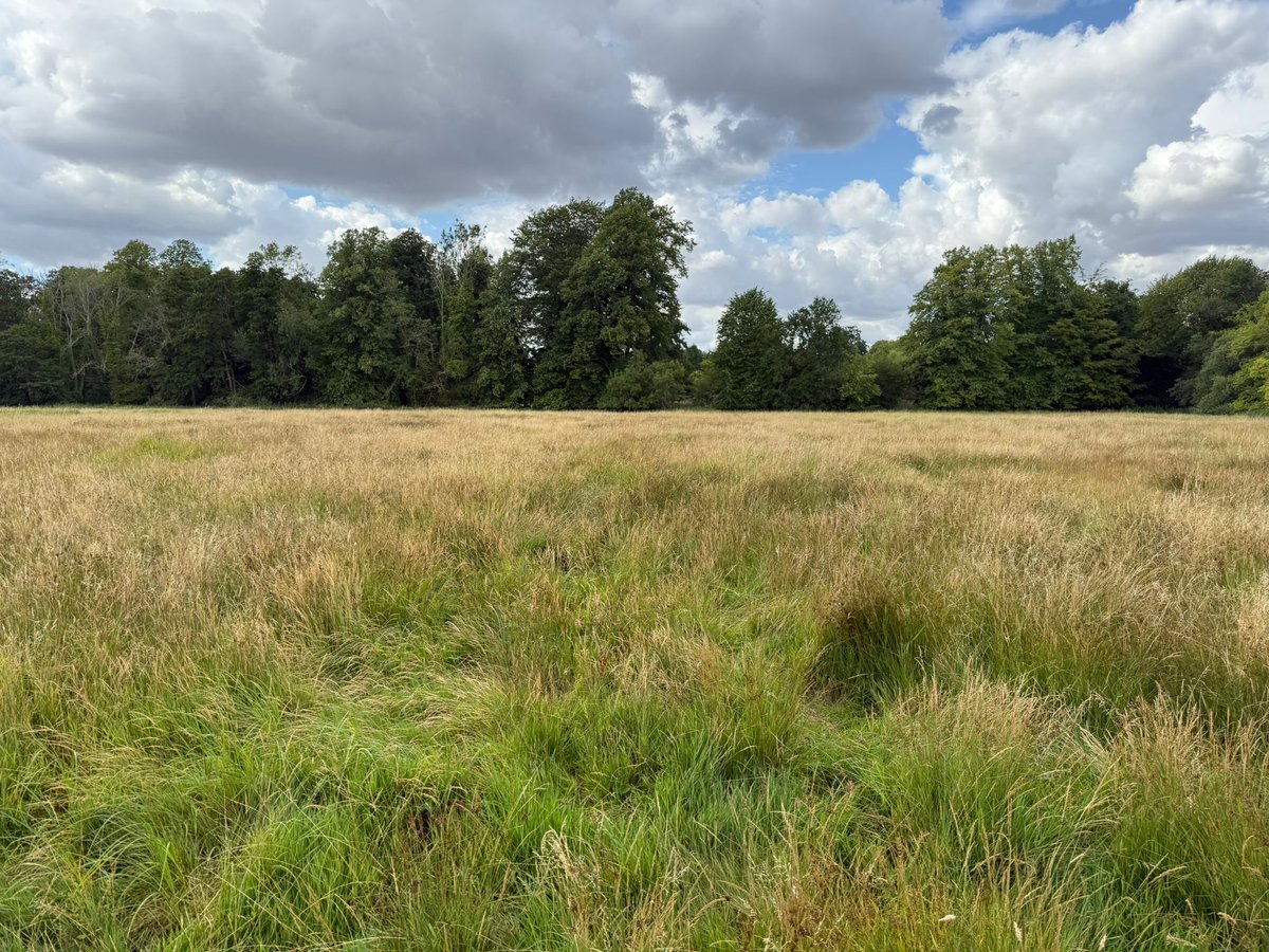 Cerberus Rural tweet media