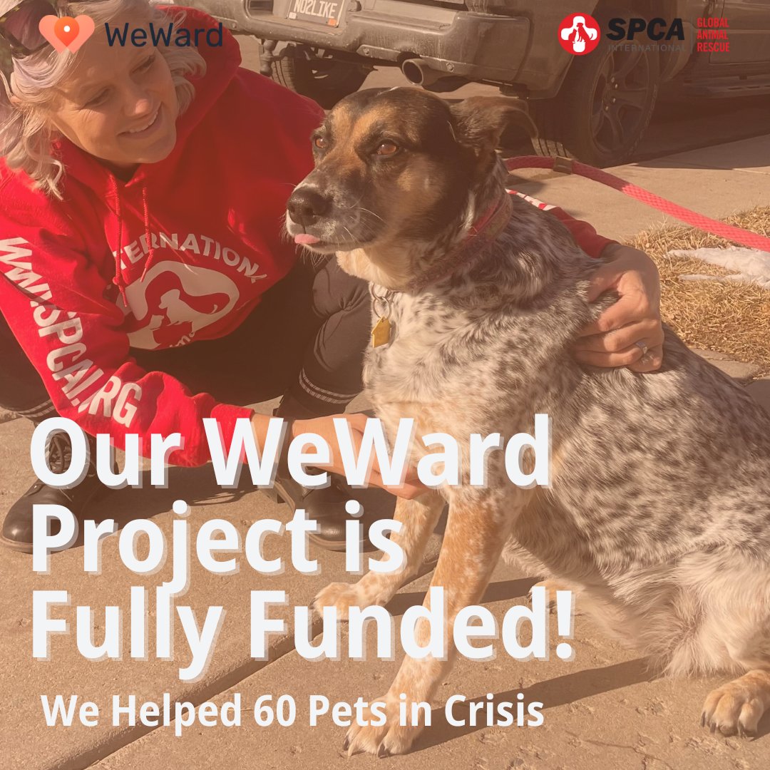 🎉 Exciting news! Our <a href="/WeWardApp/">WeWard</a> project is fully funded! $5,000 will support our PAWsitive Recovery program for pets in need. Thank you, WeWard! 🐾 #SPCAI #PAWsitiveRecovery #WeWard #HealingTogether #FosterHeroes #SecondChances #SupportAndRecovery #AnimalRescue #PetFosterCare