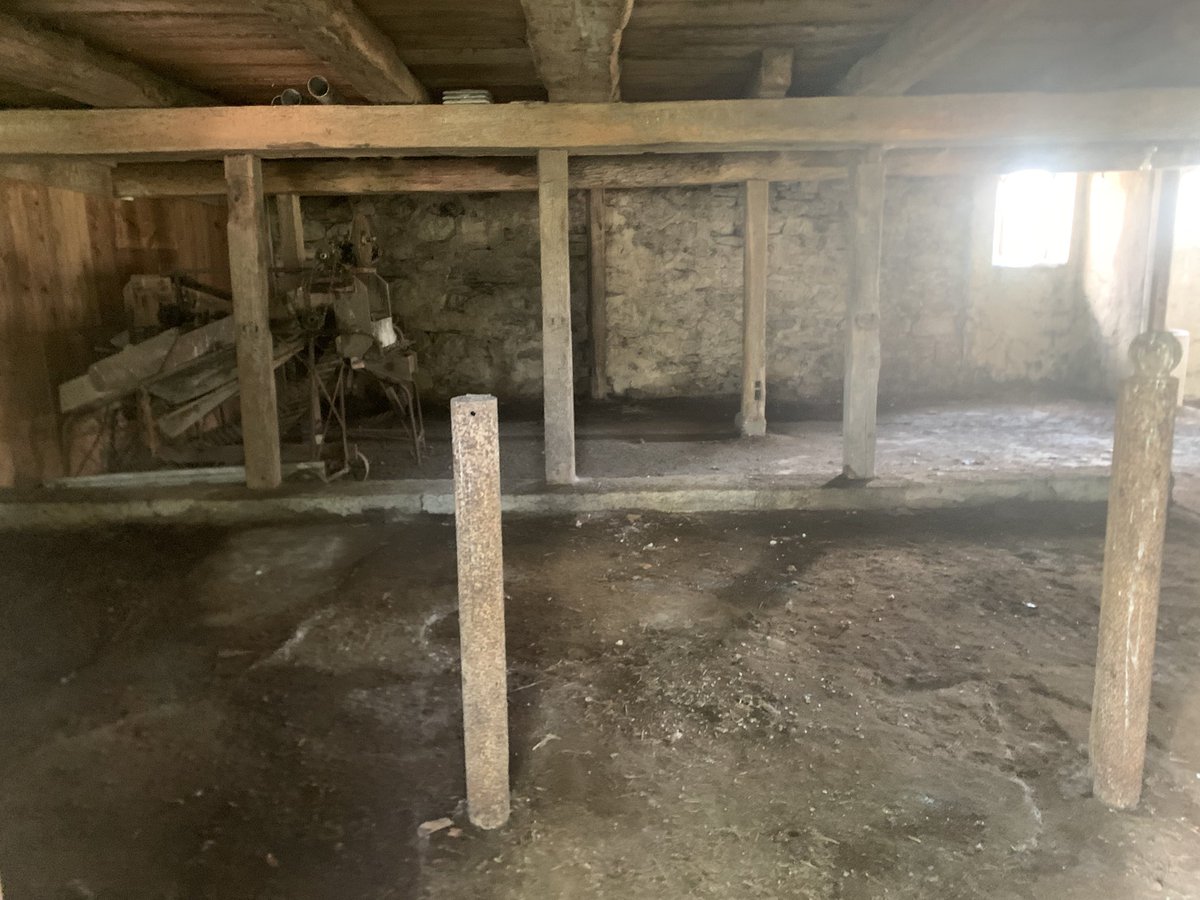 AnthropoceneMe1's tweet image. Everyone’s got that one dungeon with inscrutable filthy machinery 🤣
#DamnItsTrue