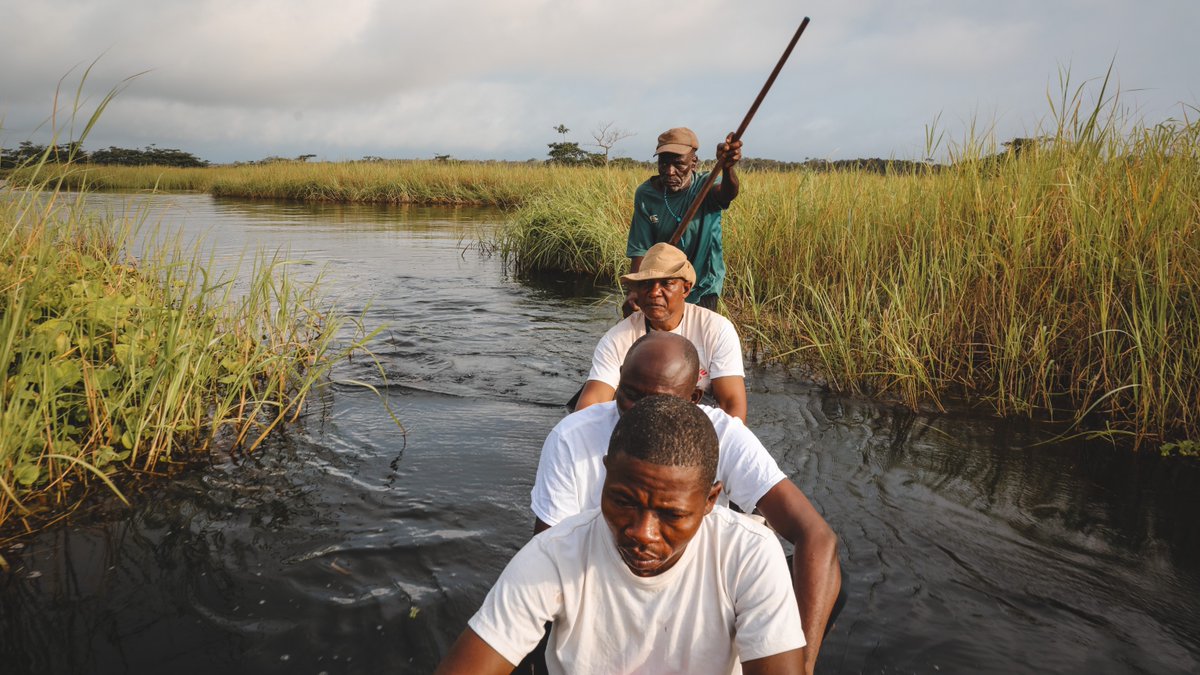MSF_canada's tweet image. #DRC: Measles and cholera outbreaks are surging. Doctors Without Borders is responding with over 20 emergency operations.
Our teams vaccinated over 448,000 people and treated more than 18,000 patients, all amid worsening insecurity and aid cuts.
doctorswithoutborders.ca/democratic-rep…