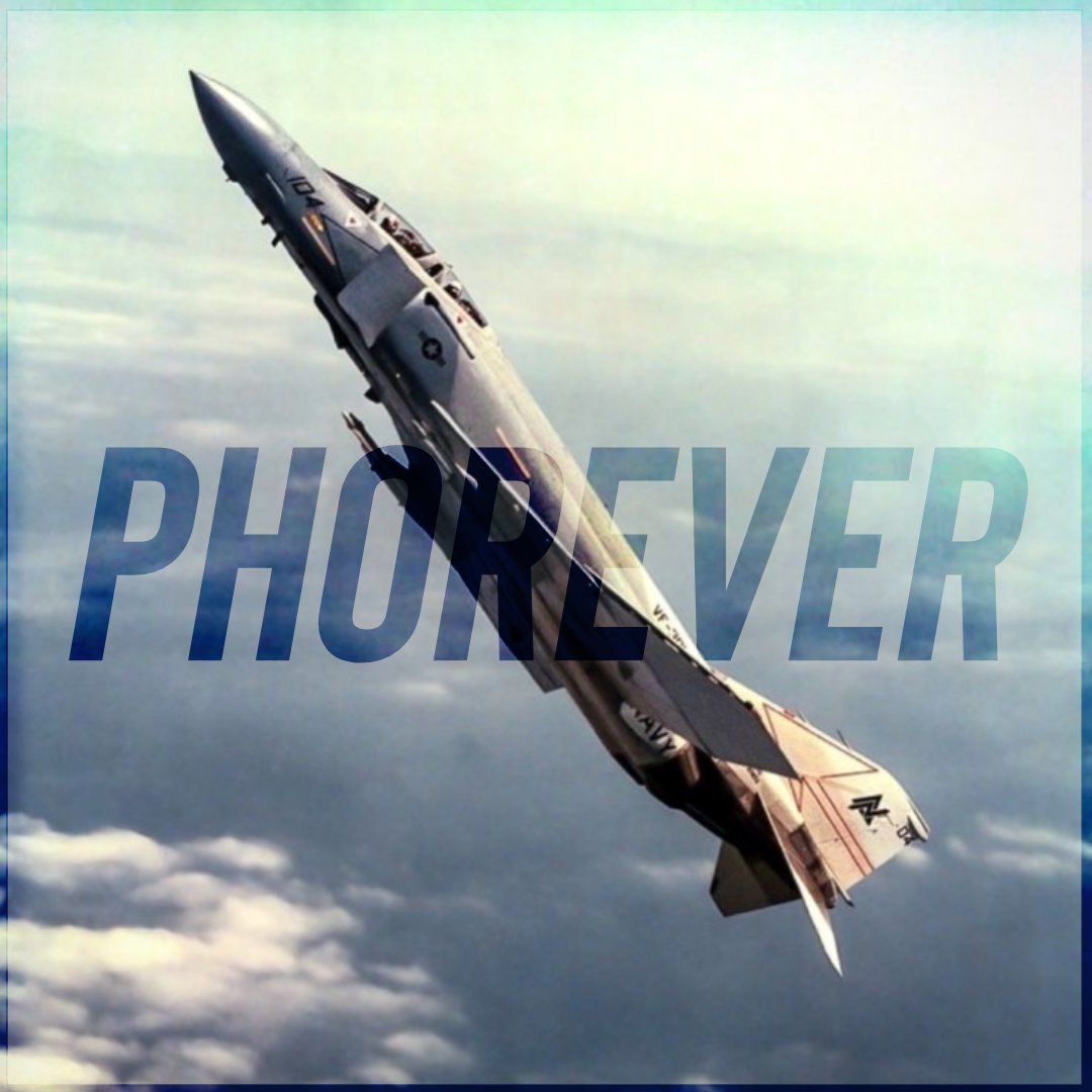 F-4 Pʜᴀɴᴛᴏᴍ II ɪs ᴍʏ ғᴀᴠᴏʀɪᴛᴇ "ʙɪʀᴅ" 🏴‍☠️ (@perpetuoasombro) on Twitter photo 