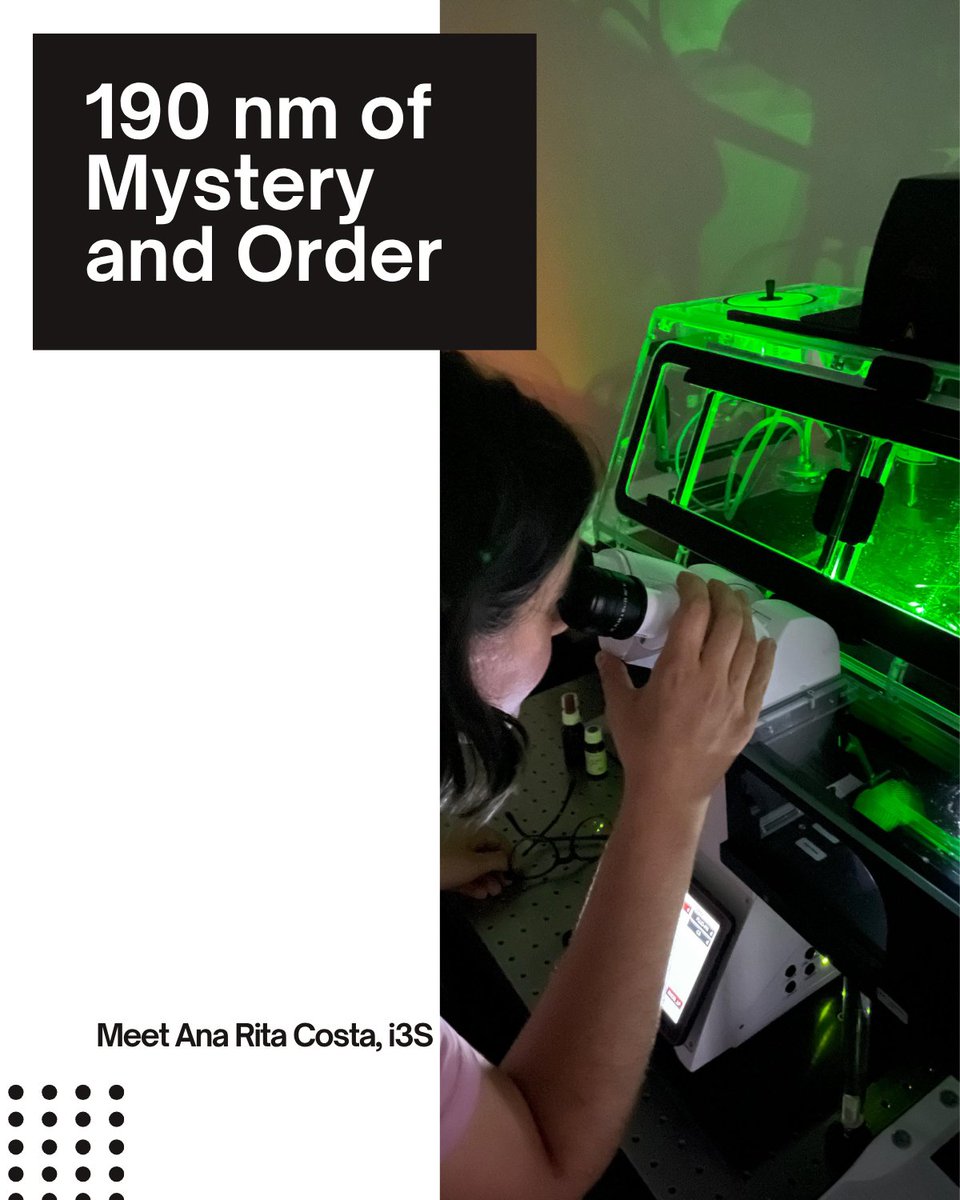 PPBioImaging's tweet image. Meet Ana Rita Costa! Ana Rita studies the membrane periodic skeleton (MPS), the so-called actin rings, in axons spaced ~190 nm apart. With STED microscopy, she reveals how nanoscale structure shapes neuron function. 🔬🧠 #Neuro #STED #MPS #Actinrings