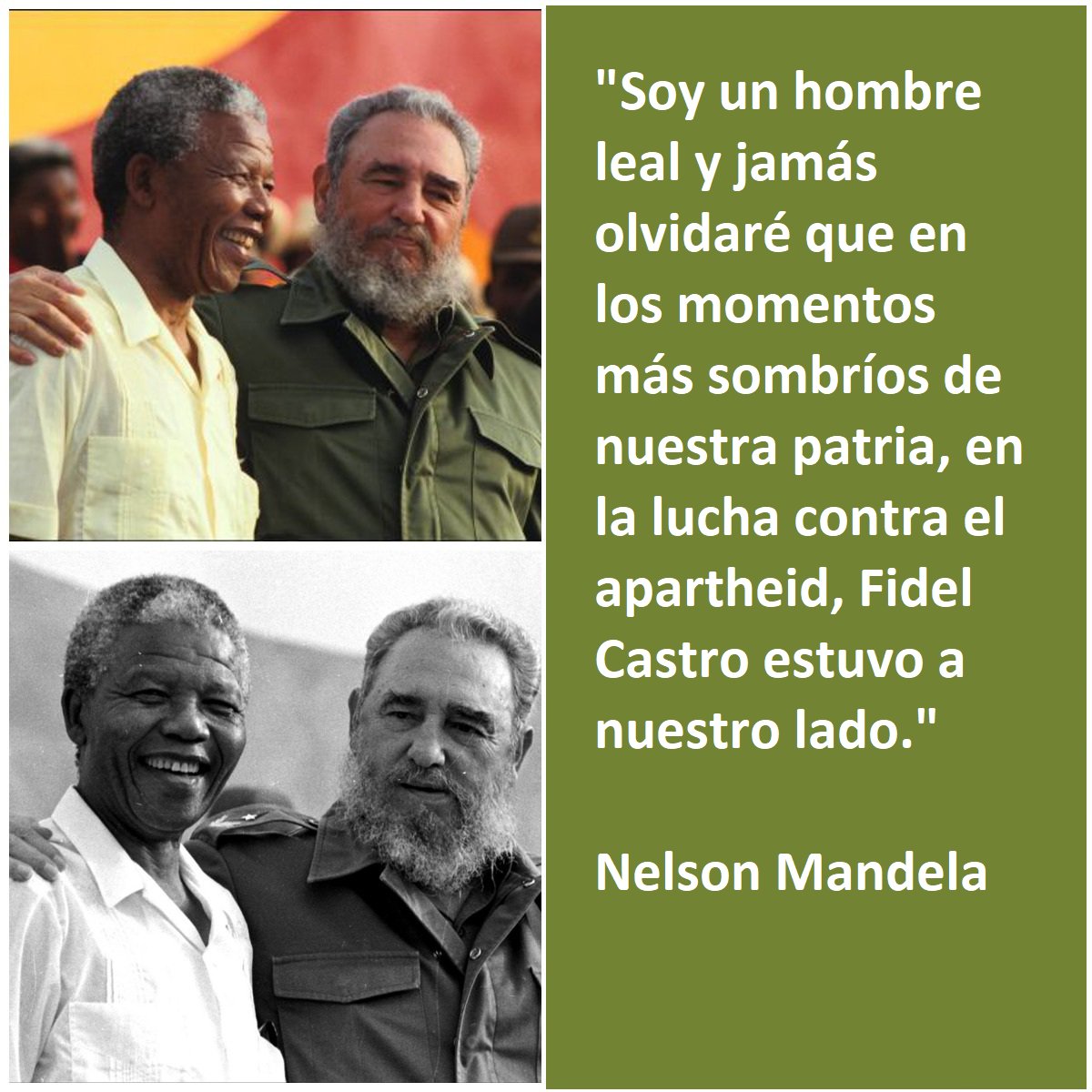 FSoldadodeIdeas's tweet image. ✍️El político, ex presidente de Sudáfrica Nelson Mandela acerca de Fidel expresó: "Soy un hombre leal y jamás olvidaré que en los momentos más sombríos de nuestra patria, en la lucha contra el apartheid, Fidel Castro estuvo a nuestro lado."
fidelcastro.cu