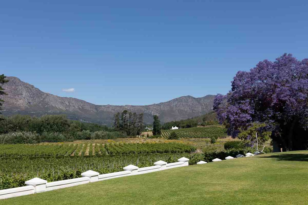 Constantia's location in Cape Town's suburbs makes the region ideal for combining a day trip to South African wineries with a stay in the city.

Read more 👉 lttr.ai/AgskT

#wine #capetown #CapeTown