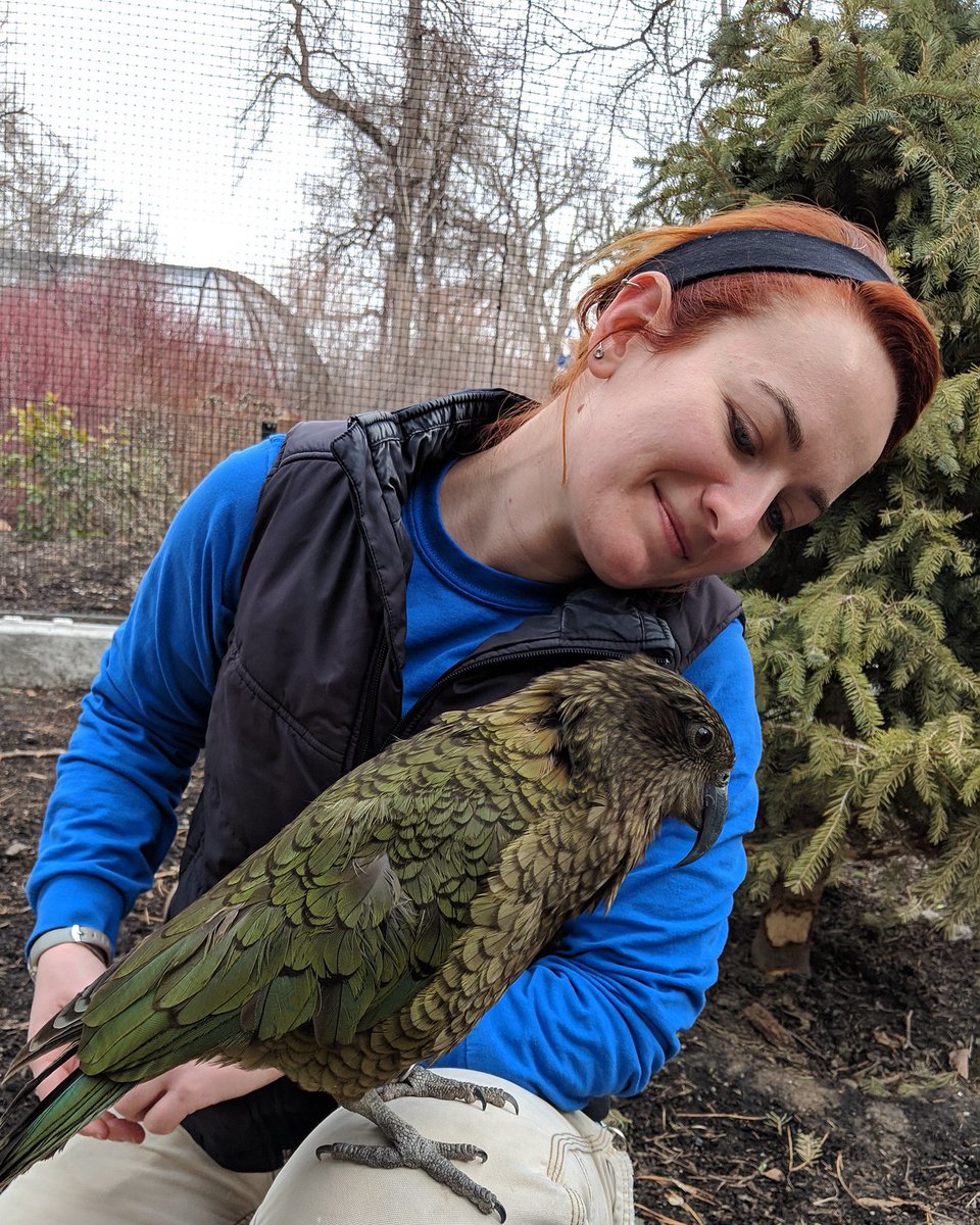 Tracy Aviary (@tracyaviary) on Twitter photo From July 20th through the 26th we are celebrating National Zookeeper Week! β¨
During this time we are highlighting our amazing bird care staff who work directly with our flock everyday. If you happen to see any of our bird care staff, be sure to say hello and celebrate them! π From July 20th through the 26th we are celebrating National Zookeeper Week! β¨
During this time we are highlighting our amazing bird care staff who work directly with our flock everyday. If you happen to see any of our bird care staff, be sure to say hello and celebrate them! π