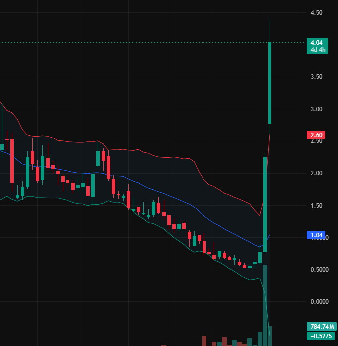 stock trader morgan vanderbilt tweet media
