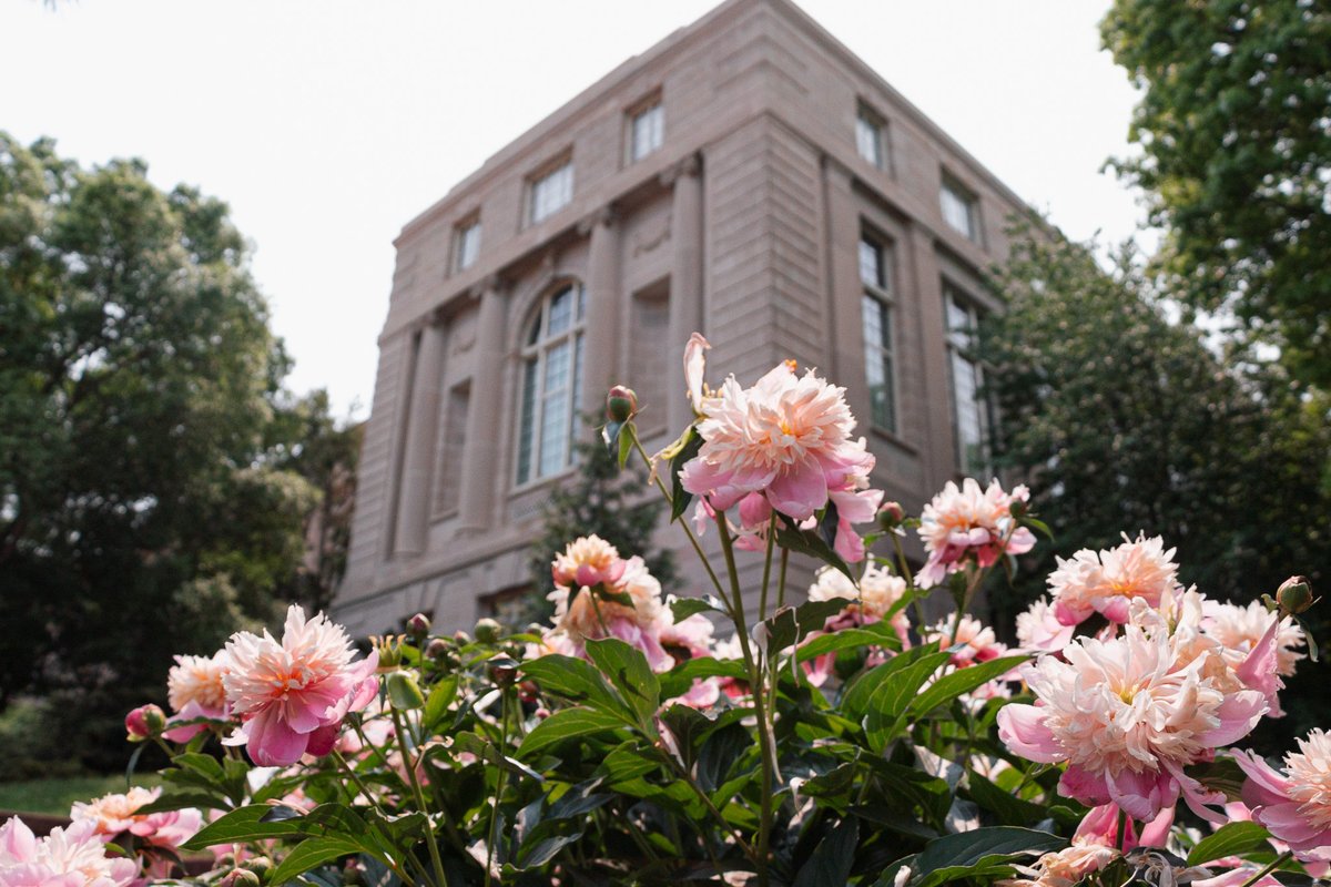 MizzouAlumni's tweet image. Don't you love a #Mizzou summer? We love Mizzou during every season, but campus really shines this time of year. Reply with your favorite spot on campus during the summer! ☀️