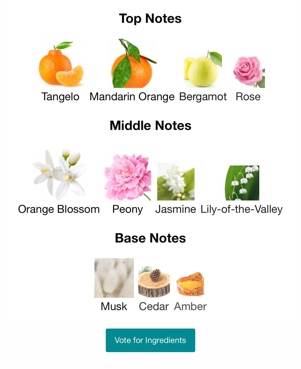 ScentHQ's tweet image. Levant by Ormonde Jayne is a unisex Floral Woody Musk that’s beautiful and stands out in a pool of boring, 🥱 unexceptional fragrances.
This Uk perfume house is one of our favs because of just how exception and smooth their fragrances are.
88ml
398k
Available @ScentHQ