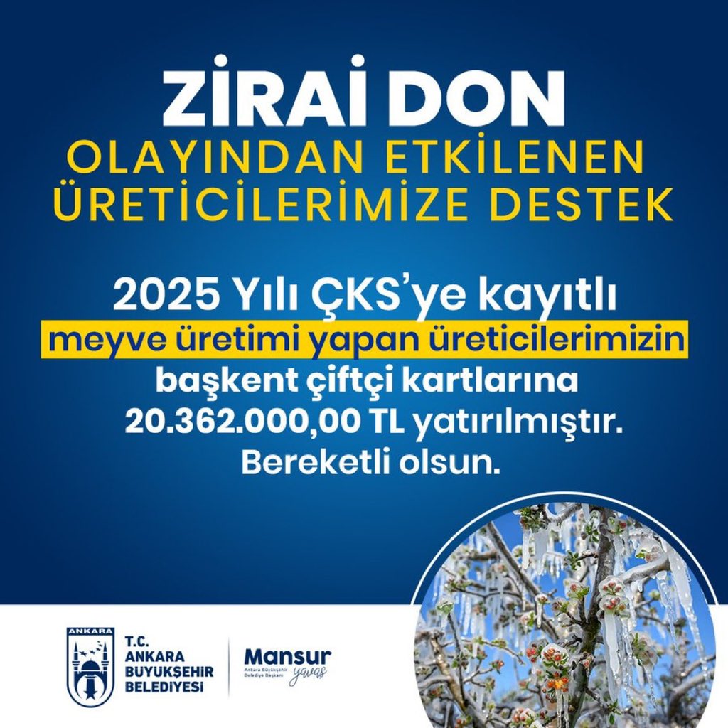 MANSUR YAVAŞ GELDİ.. (@mansuryavastr) on Twitter photo Ankara Büyükşehir Belediyesi 2025 yılı ÇKS’ye kayıtlı, meyve üretimi yapan üreticilerimizin zararını bir nebze olsun hafifletmek adına Başkent Çiftçi Kartlarına toplam 20.362.000 TL destek ödemesi yaptı.
Üreticilerimizin yanında olmaya devam edeceğiz. <a href="/mansuryavas06/">Mansur Yavaş</a> 🇹🇷 Ankara Büyükşehir Belediyesi 2025 yılı ÇKS’ye kayıtlı, meyve üretimi yapan üreticilerimizin zararını bir nebze olsun hafifletmek adına Başkent Çiftçi Kartlarına toplam 20.362.000 TL destek ödemesi yaptı.
Üreticilerimizin yanında olmaya devam edeceğiz. <a href="/mansuryavas06/">Mansur Yavaş</a> 🇹🇷