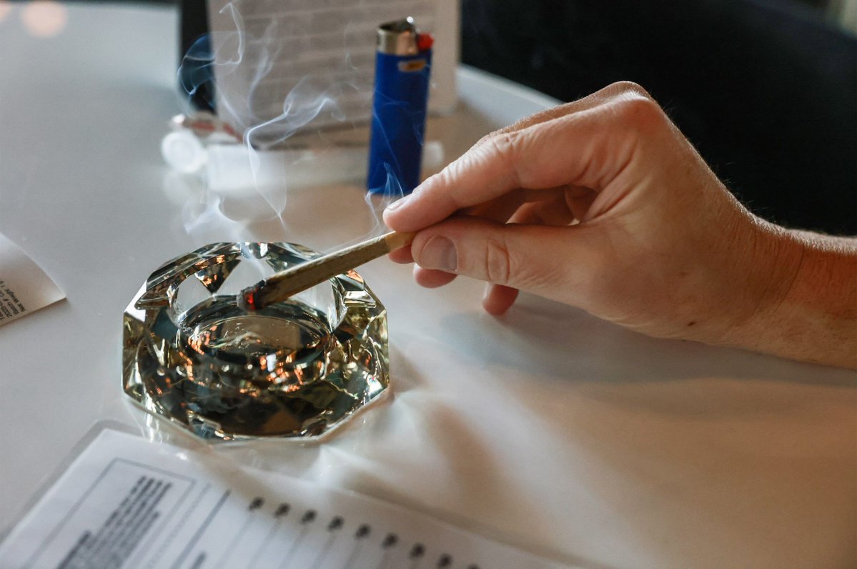 TheNVIndy's tweet image. Does Nevada have the highest cannabis tax rate in the West?
Find out in this Fact Brief by @rociohzz: thenevadaindependent.com/article/does-n…