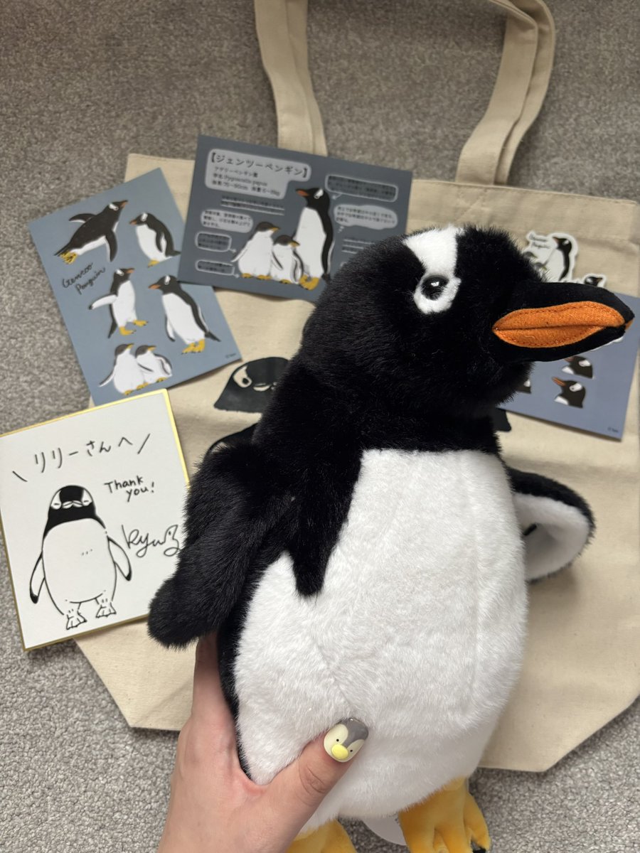 anomalilies's tweet image. とてもかわいい！🥹💛

The plushie turned out so cute! Gentoo penguins are my favourite, I’m so glad I bought one! I love your art, all the way from the UK. 🇬🇧