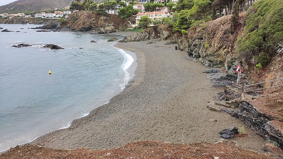 Viquipedia's tweet image. La platja de la Farella del Mig és una platja semiurbana del municipi de Llançà (Alt Empordà).
Té una longitud de 97 m i una amplada mitjana de 15 m, formada per sorra fina i grava, té un pendent d'entrada a l'aigua suau i està orientada al sud-est.
ca.wikipedia.org/wiki/Platja_de…