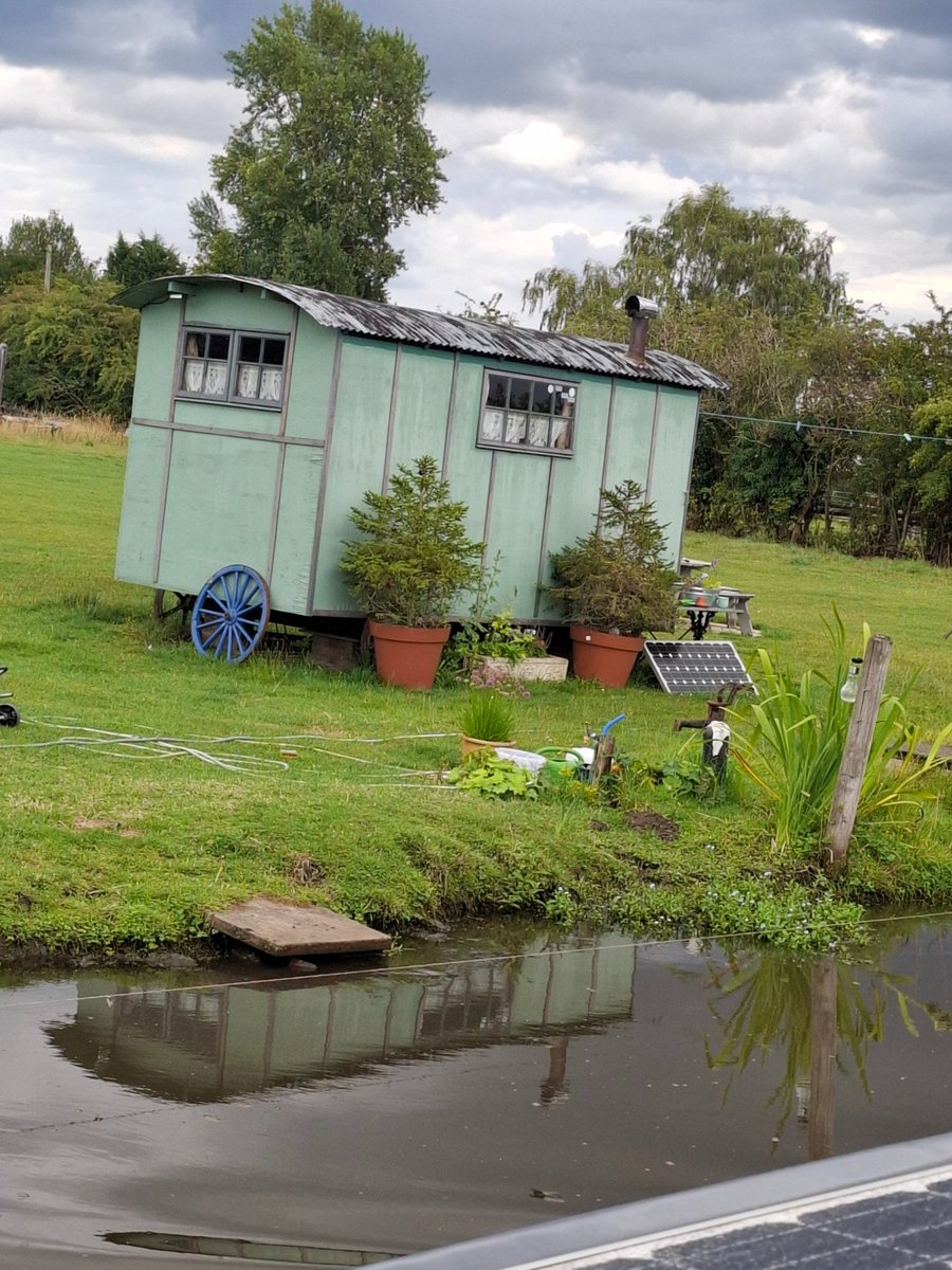30_08shazza's tweet image. Seen these on my travels today...not something you see every day.