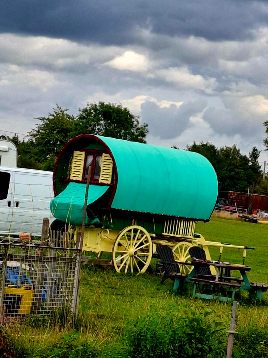 30_08shazza's tweet image. Seen these on my travels today...not something you see every day.