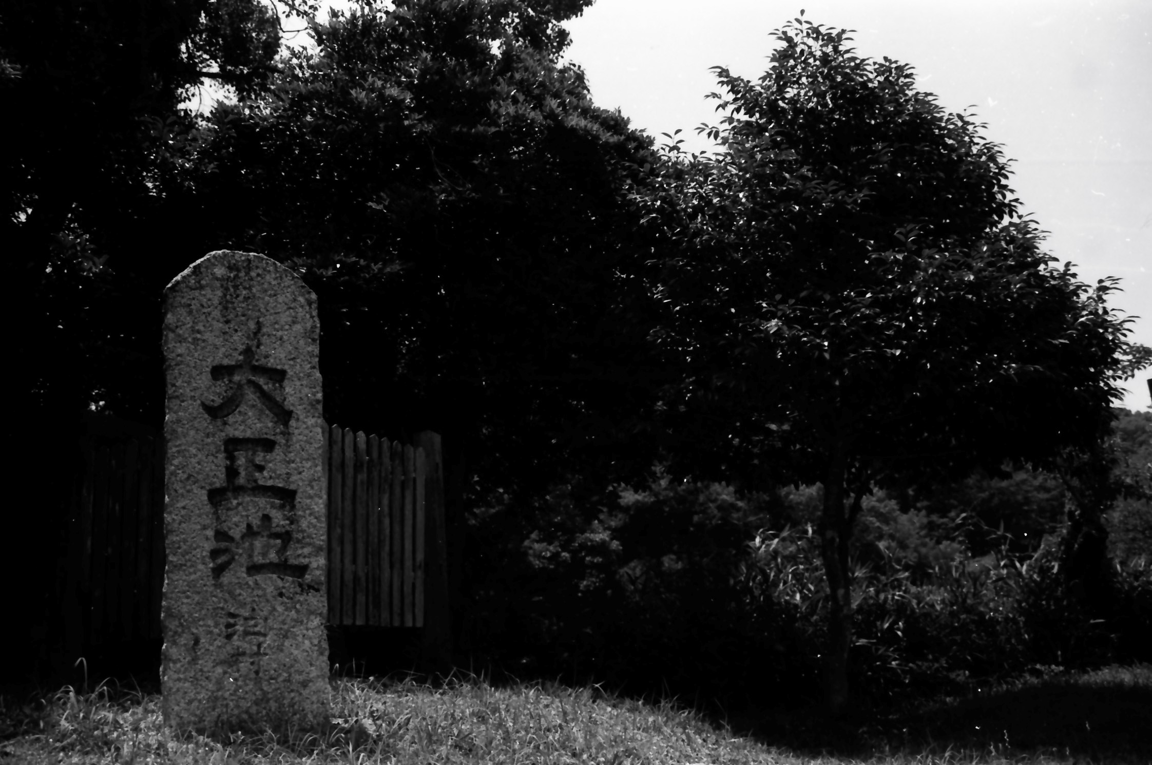 モノクロ ミイラ写真 ニャンコセンセー@カメラ on X: 