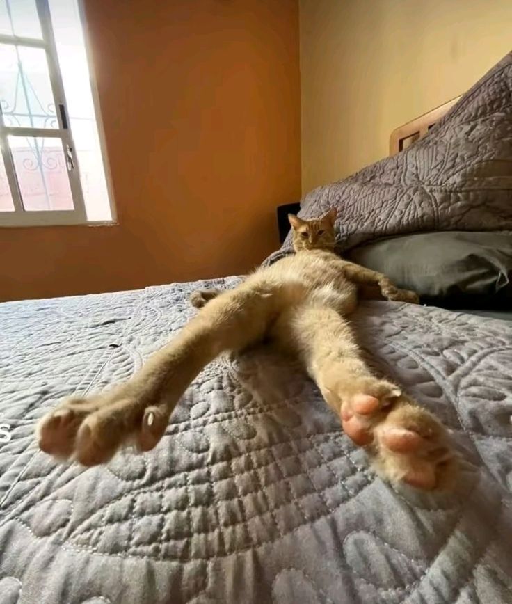 FrothyFriar's tweet image. Time to up my follower account with some feet pics