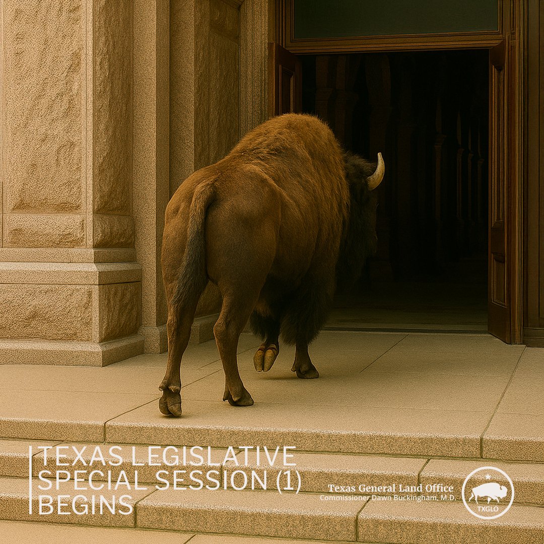 TXGLO's tweet image. Today, the Texas Legislature will reconvene for a special session to address important issues affecting Texans, including flood preparedness and recovery.
Thank you to our legislative partners for getting back to work and making a positive impact on the Lone Star State! #txlege