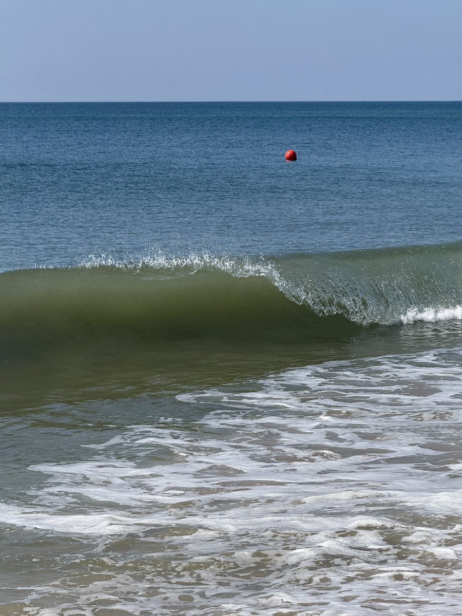 Swam as long as I could this morning and took 1 photo. 🔴🟦