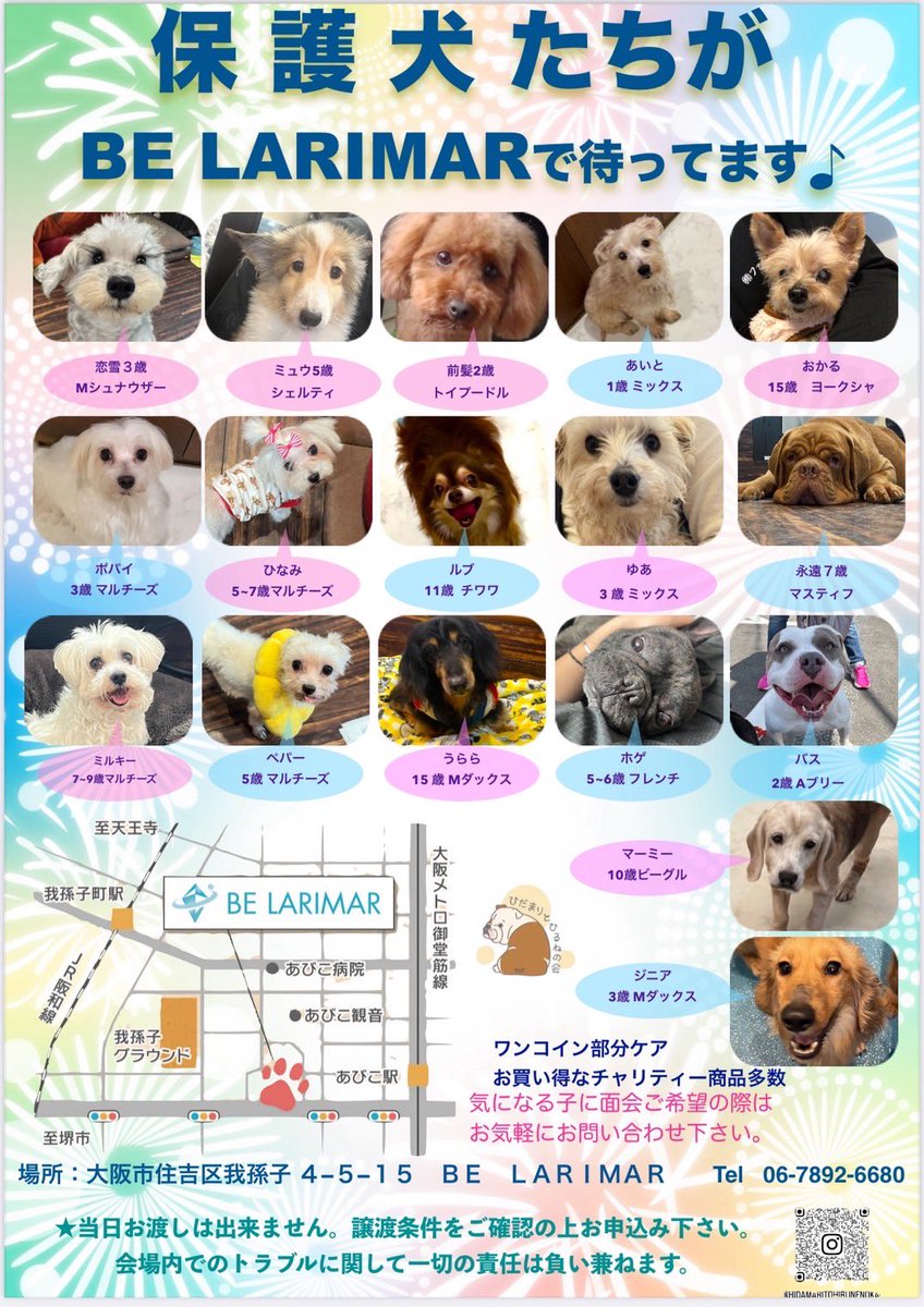 新入生が多すぎて更新が追いつかないのです😂😂
現在の保護っ子たち〜🎶
みんな真顔すぎん？😂