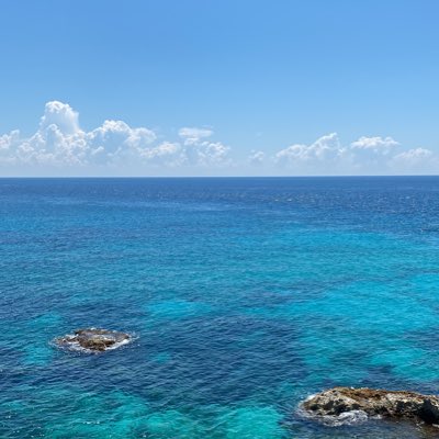 tamarit66's tweet photo. #NuevaFotoDePerfil https://t.co/j7rrVLnHxe