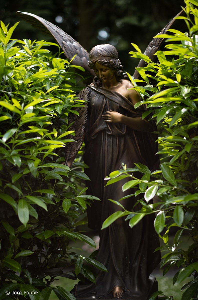 lichtaufnahmen's tweet photo. Melatenfriedhof. #köln #melatenfriedhof #friedhof #engel #angel #friedhöfe #grabstelle #grabstellen #gräber #ruhestätte #grabplätze #skulptur #skulpturen #plastik #figur #bildhauer #statue #figuren #grab #standbild #l51578 https://t.co/jGcIuxu7ju