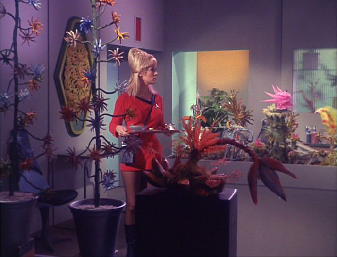 ksaintvalentine's tweet image. Something i will forever love about Star Trek is the use of color within the set and shots.. its honestly one of the many reasons i even watch the series as a whole 🥹