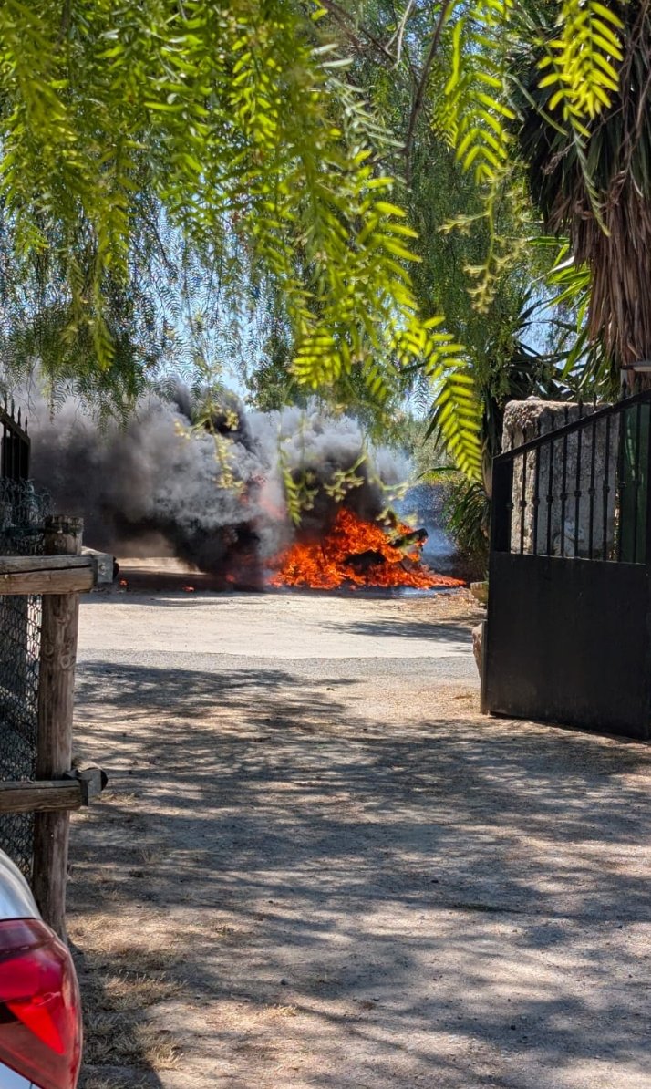 Finde Tekkenero, breve pero intenso:

-Un gustazo volver a jugar FTs en Tekken clásicos; el TK bueno y bonito🎮
-Los buenos momentos con las viejas amistades, así como las nuevas formadas🐔💓
-Estos niños se toman las barbacoas al pie de la letra🔥🏠

Nos vemos el año que viene🕷️
