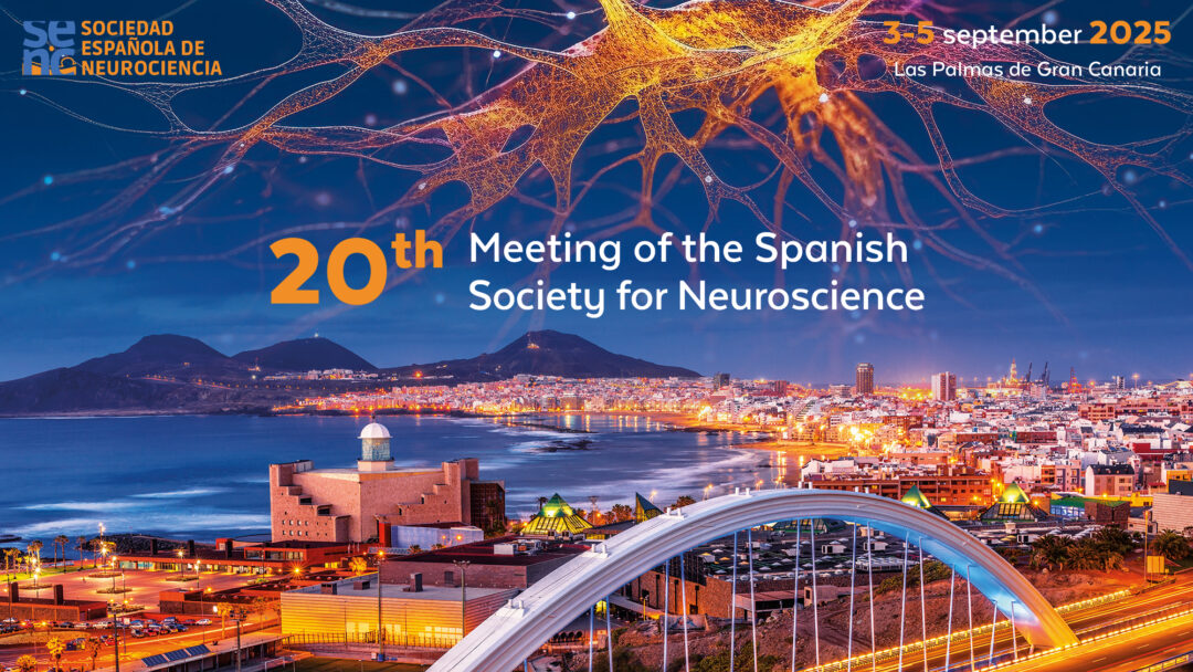 SENC_'s tweet image. 📰Comprender cómo funciona el #cerebro es esencial para afrontar los grandes retos en salud cerebral. Este será el eje del 20th Meeting of the #SENC, que se celebrará del 3 al 5 de septiembre de 2025 en el @PCongresosCan
🖊️@canarias24horas
🔗canarias24horas.com/sociedad/salud…
#SENC2025
