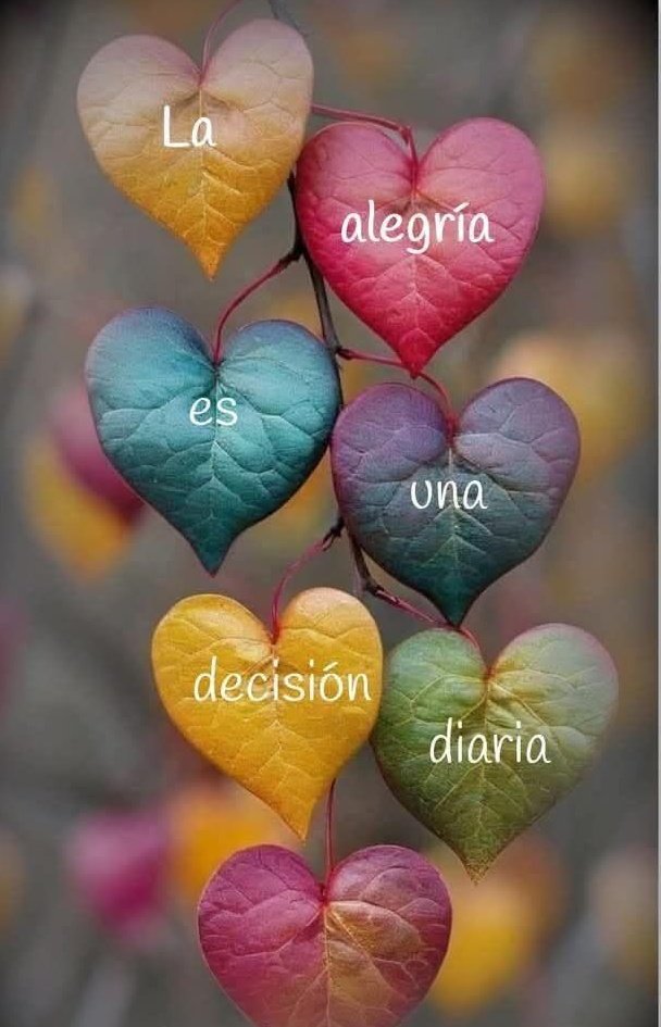 yoli_gotitaymar's tweet image. 💛❤️🩵💚💛❤️🩵💚
💛❤️🩵💚💛❤️🩵💚
Que tú semana comience con actitud positiva y cientos de sonrisas .
#BuenosDías
#FelizLunes
💛❤️🩵💚💛❤️🩵💚
💛❤️🩵💚💛❤️🩵💚