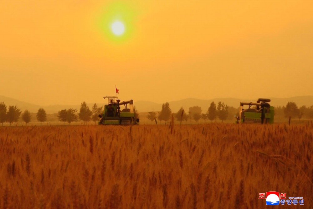 UK_KFL's tweet photo. Great Change in Agricultural Production by Programme for Rural Revolution in New Era https://t.co/wkgem7y7LZ