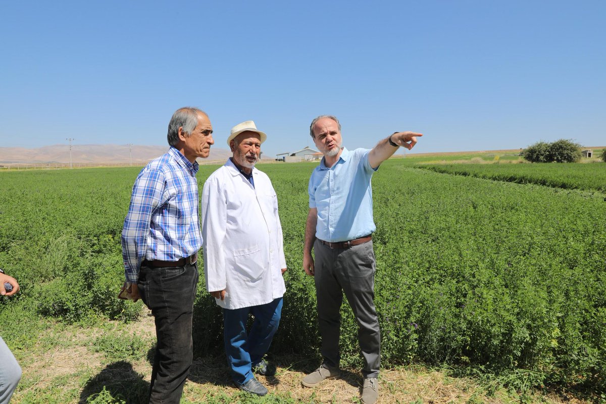 Üniversitemizde ilimize ve bölgemizin iklim şartlarına uygun geliştirilen Nimet çeşidi “İpek” yoncamızın hasadını yaptık. Bölgemizdeki üreticilerimizin kaba yem ihtiyacının karşılanmasına destek olacağız. 🍀 🚜 

#NÖHÜ
#Niğde