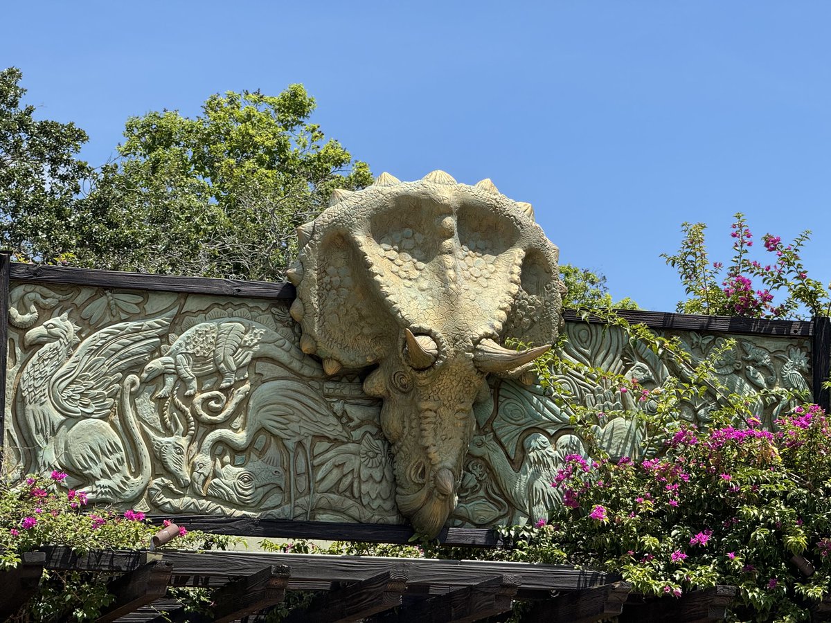Mickey_Central's tweet image. I wonder if the Triceratops at the entrance of Animal Kingdom will remain after Tropical Americas opens…