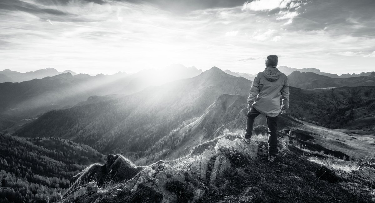 Laid Off Guide tweet media