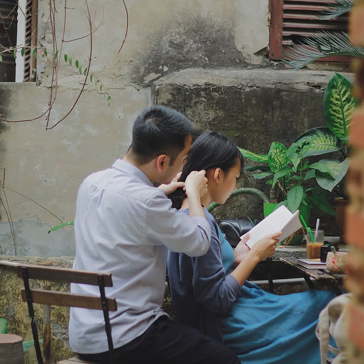 A family of swans glides gracefully across a serene lake, their reflections mirroring elegance.

#idol