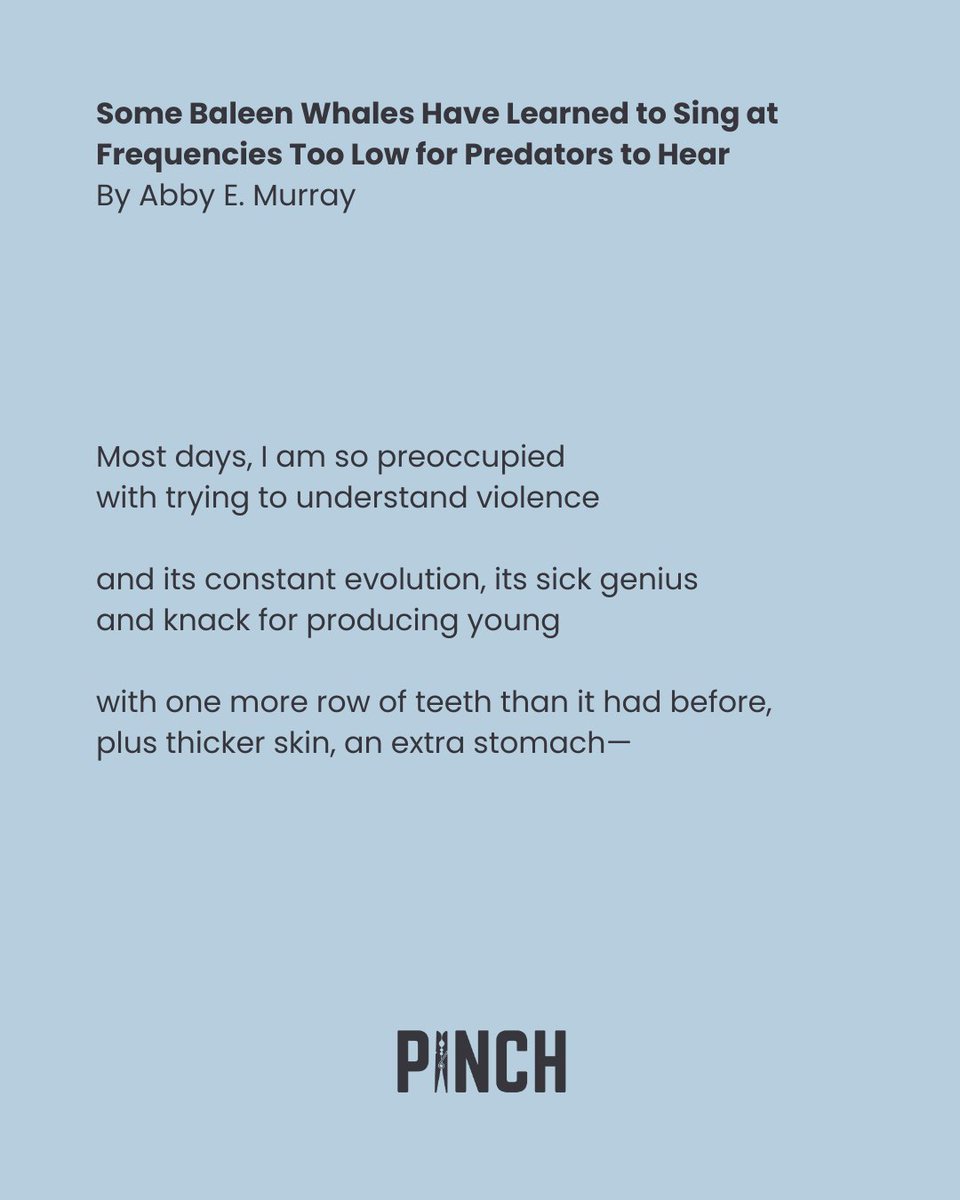 Our newest poem, "Some Baleen Whales Have Learned to Sing at Frequencies Too Low for Predators to Hear" by Abby E. Murray, contemplates the coexistence of violence with peace in the context of marine life. Read the full piece on PJO now.
#poetry #pinchjournal #litmag