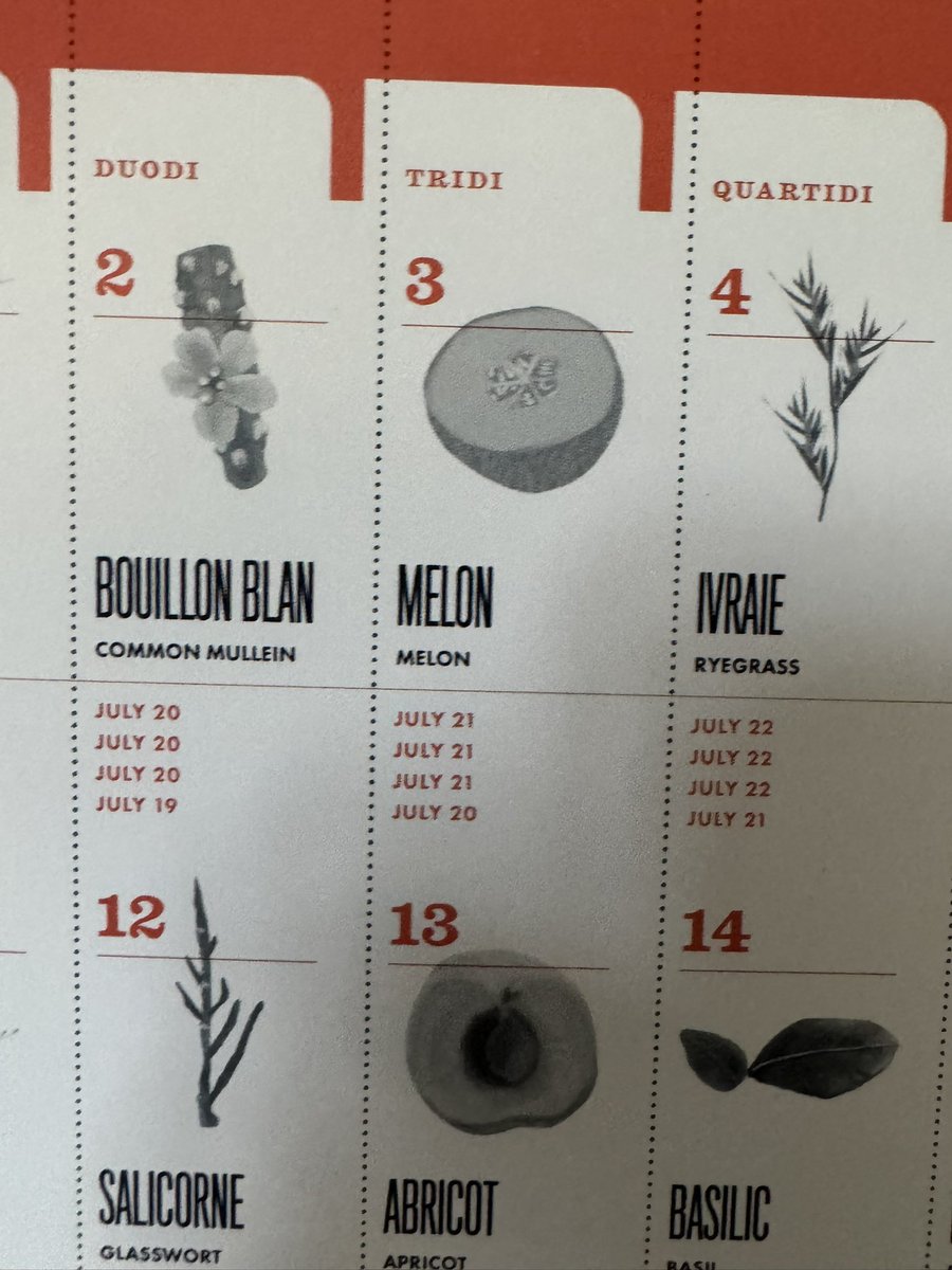 Happy Hot Melon day! (Thermidor 3 Melon)