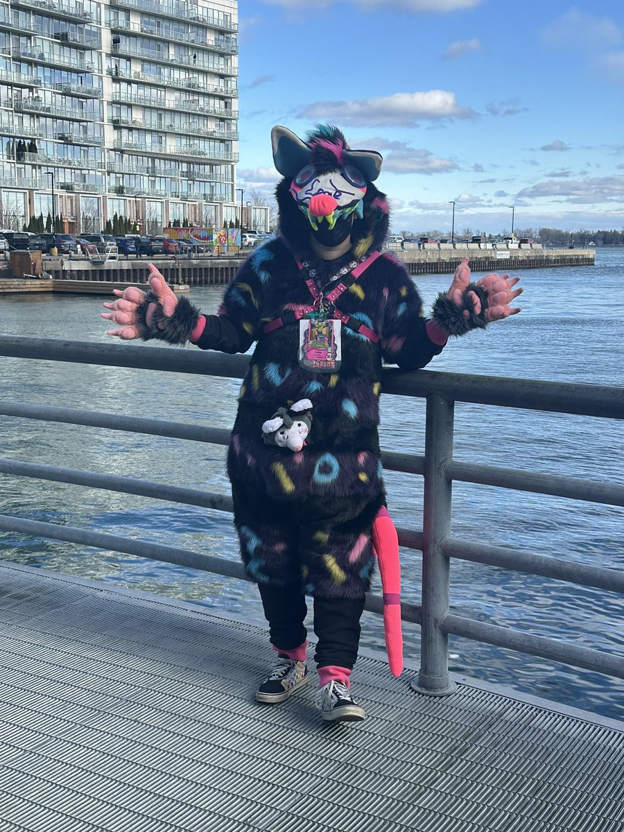fosbat's tweet image. If you have any pics of/with me from Fur-Eh in Fos, party Fos, or Clancy, please feel free to send them my way!!! I鈥檇 love to see them!! Especially Clancy, I didn鈥檛 have much time to take pics of him cuz I was getting stopped so much for pics 馃槶 鉂わ笍