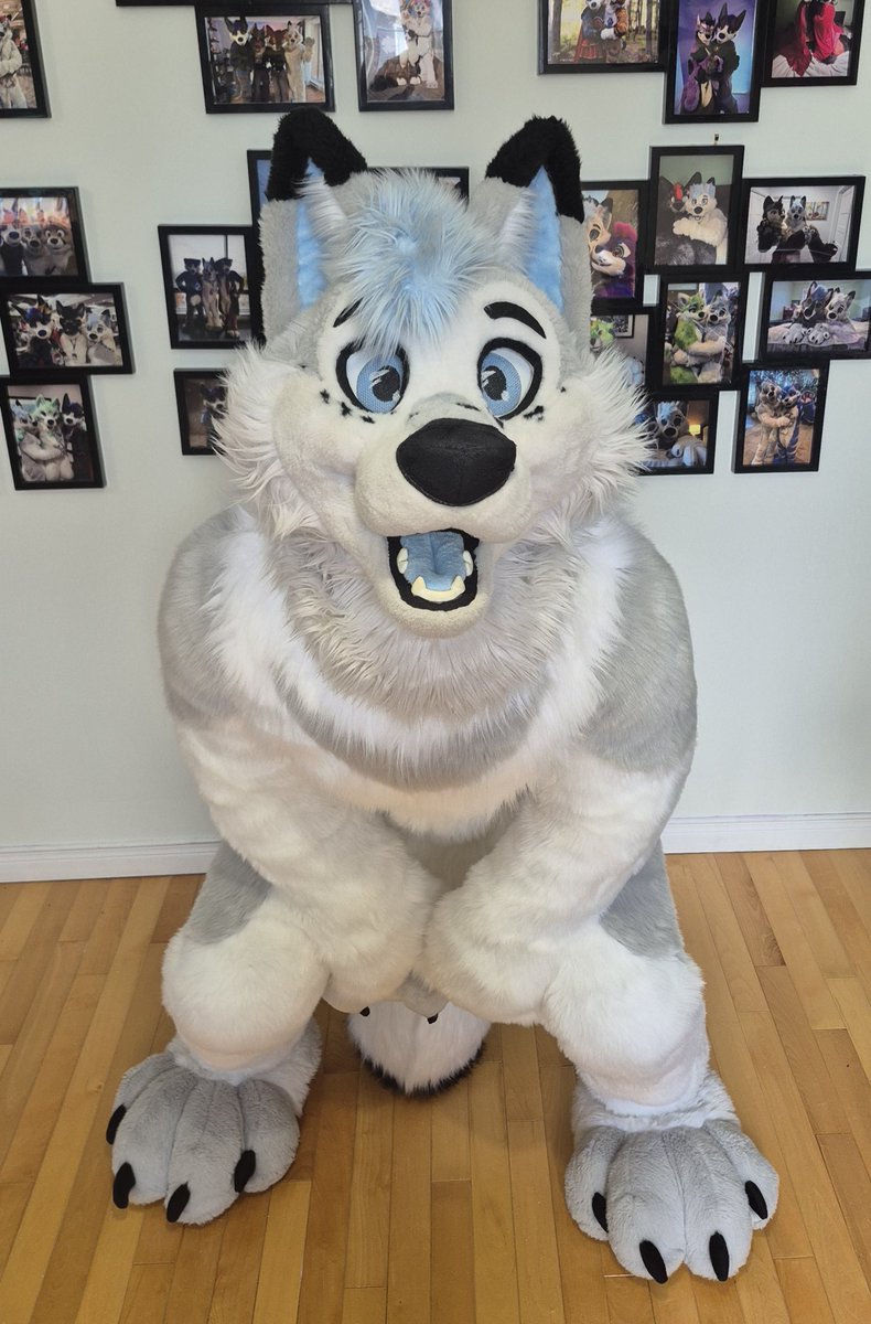 Fox just wants pets 🥰

📸 <a href="/NabiWolfy/">Nabi Wolfy 💙💜</a>